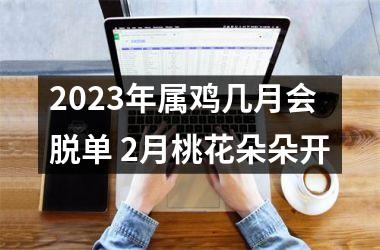 2025年属鸡几月会脱单 2月桃花朵朵开