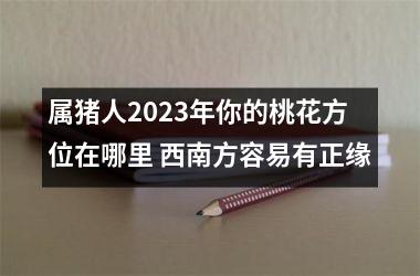 属猪人2025年你的桃花方位在哪里 西南方容易有正缘