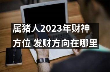 属猪人2025年财神方位 发财方向在哪里