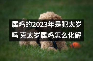 属鸡的2025年是犯太岁吗 克太岁属鸡怎么化解