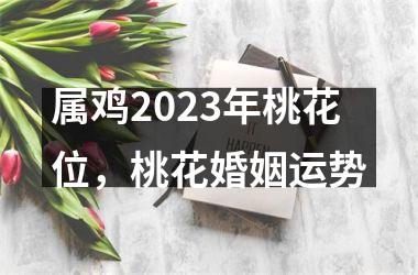 <h3>属鸡2025年桃花位，桃花婚姻运势