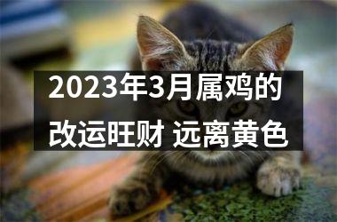2025年3月属鸡的改运旺财 远离黄色
