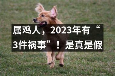 属鸡人，2025年有“3件祸事”！是真是假