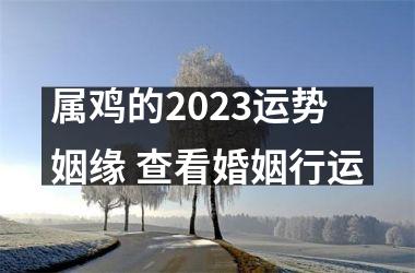 <h3>属鸡的2025运势姻缘 查看婚姻行运