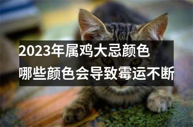 2025年属鸡大忌颜色 哪些颜色会导致霉运不断