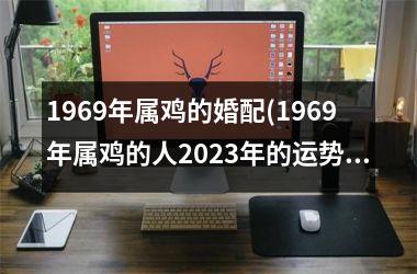 1969年属鸡的婚配(1969年属鸡的人2025年的运势及运程)