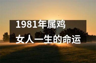 1981年属鸡女人一生的命运