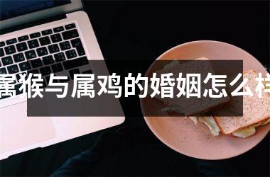 属猴与属鸡的婚姻怎么样