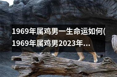 1969年属鸡男一生命运如何(1969年属鸡男2025年运势及运程每月运程)
