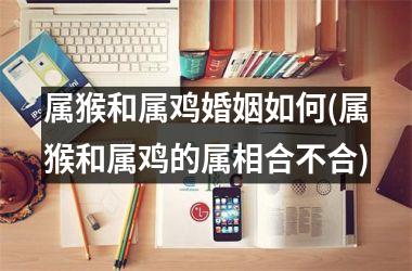 属猴和属鸡婚姻如何(属猴和属鸡的属相合不合)
