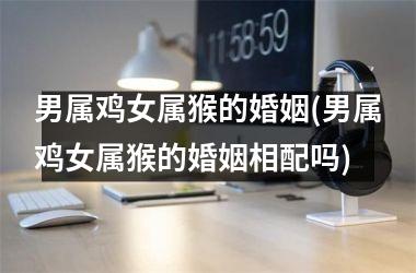 男属鸡女属猴的婚姻(男属鸡女属猴的婚姻相配吗)