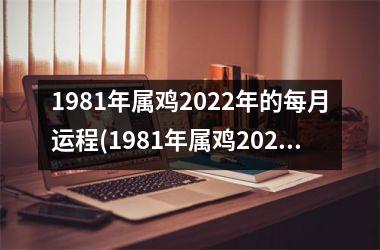 1981年属鸡2025年的每月运程(1981年属鸡2025年运势及运程每月运程)