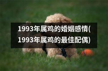 <h3>1993年属鸡的婚姻感情(1993年属鸡的佳配偶)