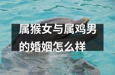 属猴女与属鸡男的婚姻怎么样