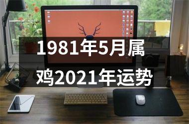 1981年5月属鸡2025年运势