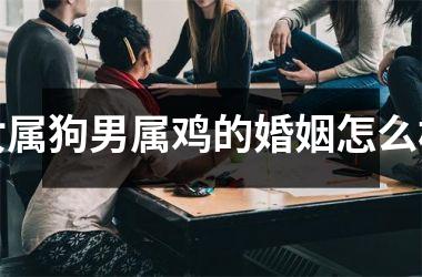 女属狗男属鸡的婚姻怎么样