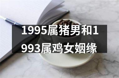 1995属猪男和1993属鸡女姻缘