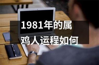 1981年的属鸡人运程如何