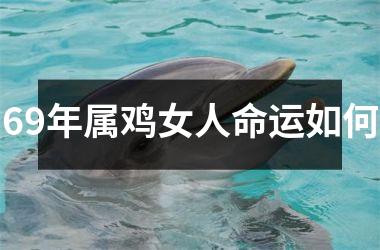 69年属鸡女人命运如何