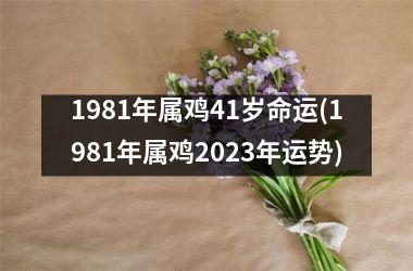1981年属鸡41岁命运(1981年属鸡2025年运势)