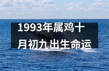 1993年属鸡十月初九出生命运