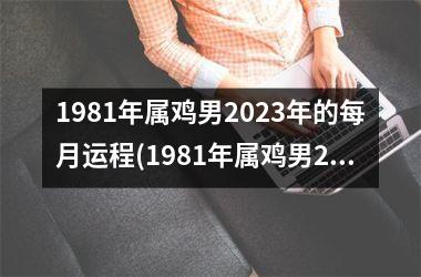<h3>1981年属鸡男2025年的每月运程(1981年属鸡男2025年的全年运势)