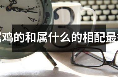 属鸡的和属什么的相配好