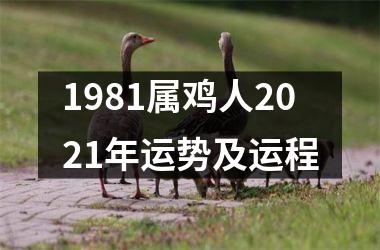 <h3>1981属鸡人2025年运势及运程