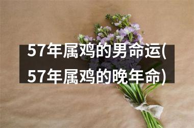 57年属鸡的男命运(57年属鸡的晚年命)