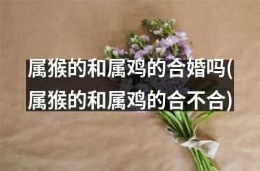 属猴的和属鸡的合婚吗(属猴的和属鸡的合不合)