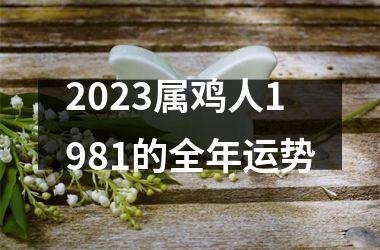 <h3>2025属鸡人1981的全年运势