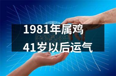 1981年属鸡41岁以后运气