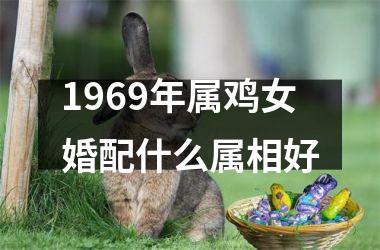<h3>1969年属鸡女婚配什么属相好
