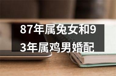 87年属兔女和93年属鸡男婚配