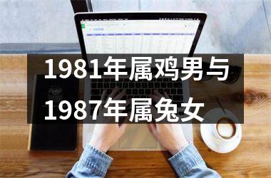 1981年属鸡男与1987年属兔女