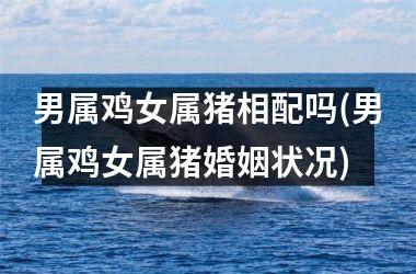 男属鸡女属猪相配吗(男属鸡女属猪婚姻状况)