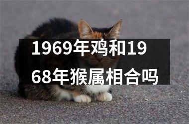 1969年鸡和1968年猴属相合吗