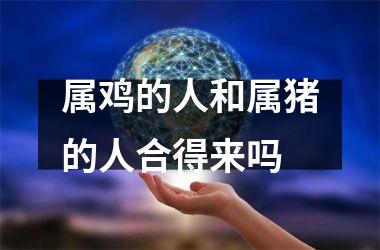 属鸡的人和属猪的人合得来吗