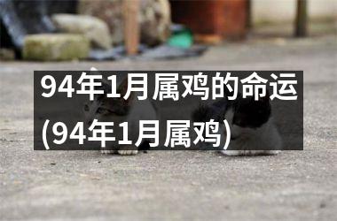 94年1月属鸡的命运(94年1月属鸡)