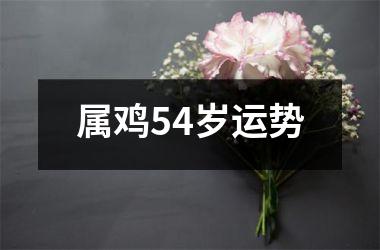 属鸡54岁运势