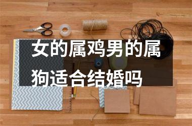 女的属鸡男的属狗适合结婚吗