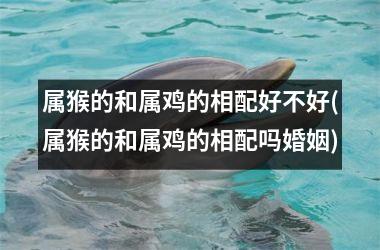 属猴的和属鸡的相配好不好(属猴的和属鸡的相配吗婚姻)