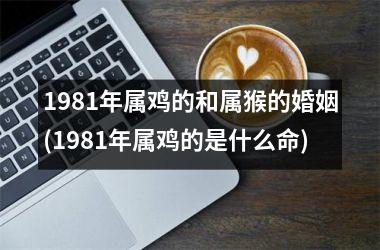 1981年属鸡的和属猴的婚姻(1981年属鸡的是什么命)