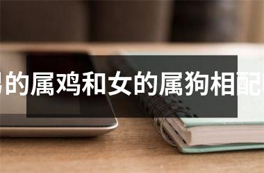男的属鸡和女的属狗相配吗