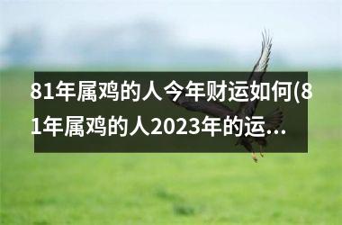 <h3>81年属鸡的人今年财运如何(81年属鸡的人2025年的运势及运程)