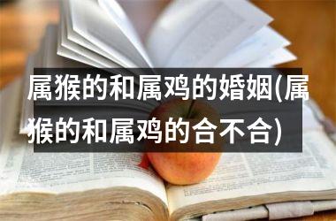 <h3>属猴的和属鸡的婚姻(属猴的和属鸡的合不合)