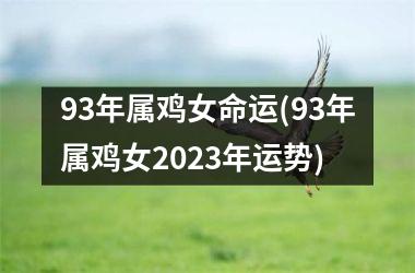 93年属鸡女命运(93年属鸡女2025年运势)
