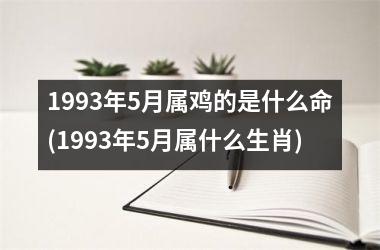 1993年5月属鸡的是什么命(1993年5月属什么生肖)