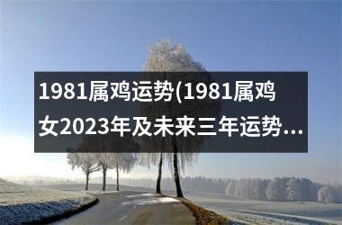 1981属鸡运势(1981属鸡女2025年及未来三年运势)