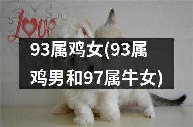 93属鸡女(93属鸡男和97属牛女)